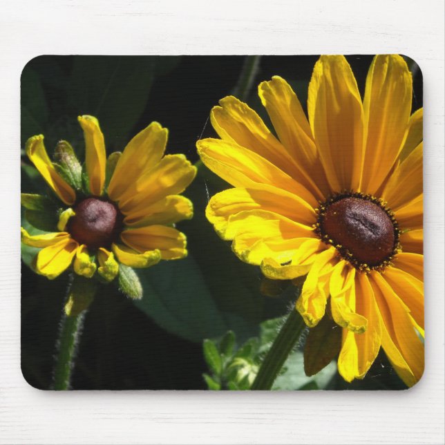 Black Eyed Susans Mouse Pad (Front)
