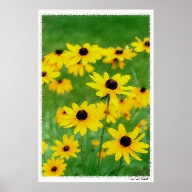 Black Eyed Susans Poster (Front)