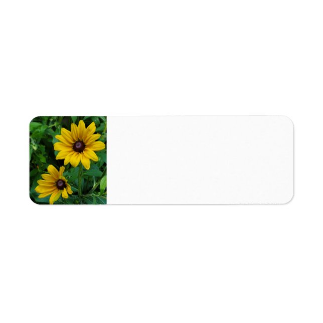 Black-Eyed Susans Return Address Label (Front)
