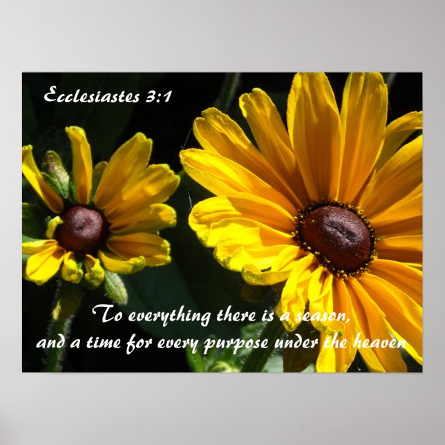 Black Eyed Susans With Scripture Verse Poster (Front)