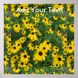 Black Eyed Susans Yellow Green Poster