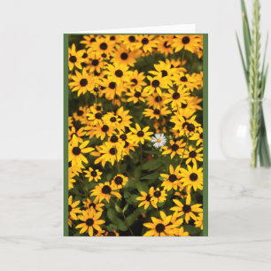 Black eyed Susie Card
