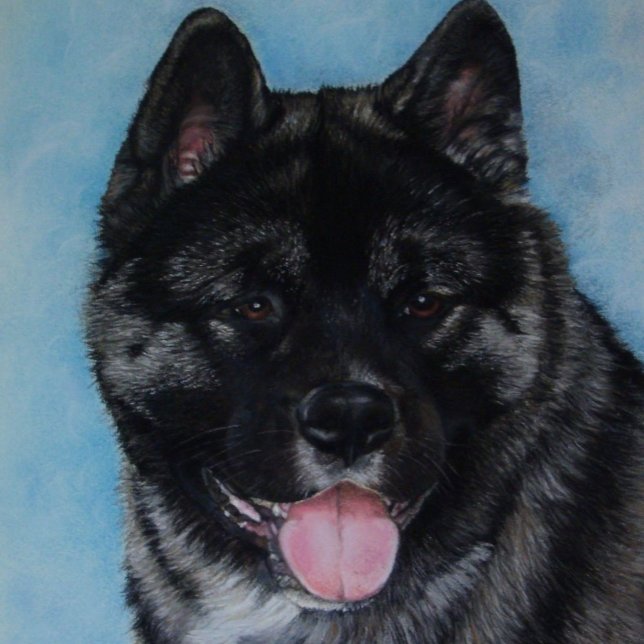 black faced akita panting dog portrait art jigsaw puzzle (Creator Uploaded)