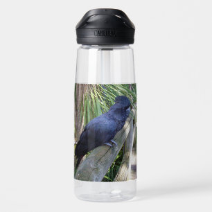 Black Feathers: Australian Black Parrot Water Bottle