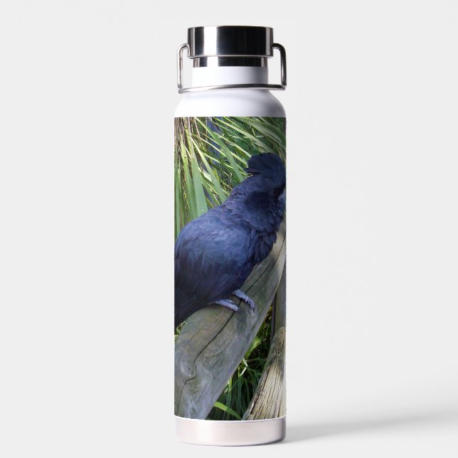 Black Feathers: Australian Black Parrot Water Bottle (Back)