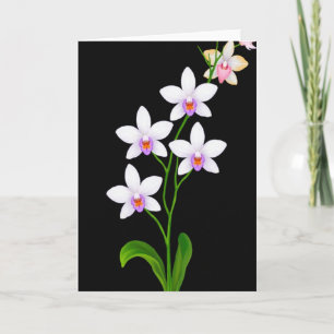 Black Floral Beauty Card