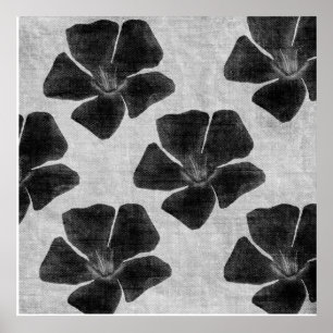 Black Flower Print