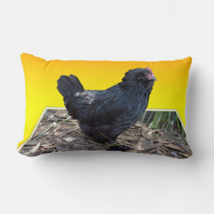 Black Fluffy Chicken On Yellow, Lumbar Cushion. Cushion