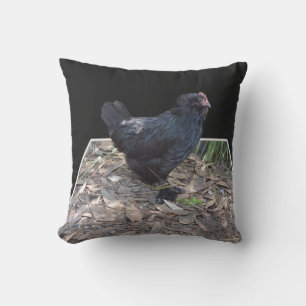 Black Fluffy Chicken, Outdoor Cushion