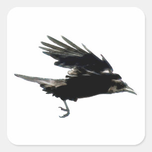 BLACK FLYING CROW Sticker Series