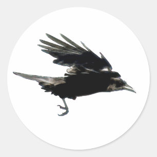 BLACK FLYING CROW Sticker Series