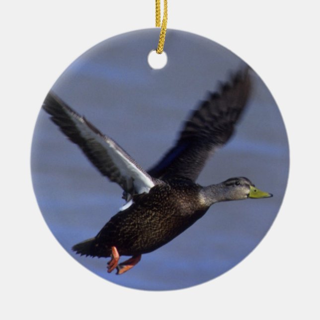 Black flying duck ceramic tree decoration (Front)