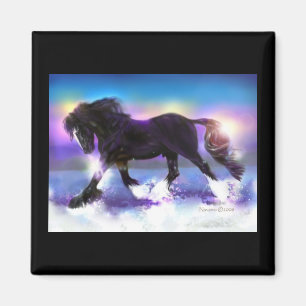 Black Foot Shire Magnet