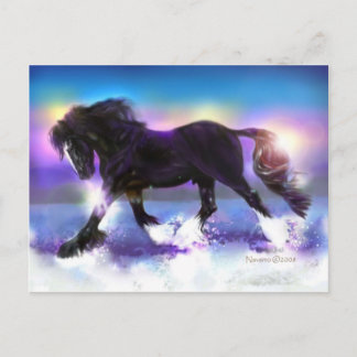 Black Foot Shire Postcard