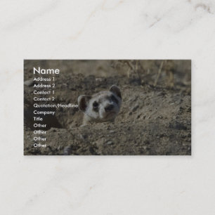Black-Footed Ferret (captive) Business Card