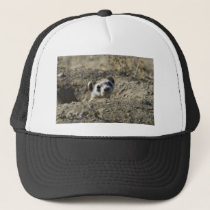 Black-Footed Ferret (captive) Trucker Hat
