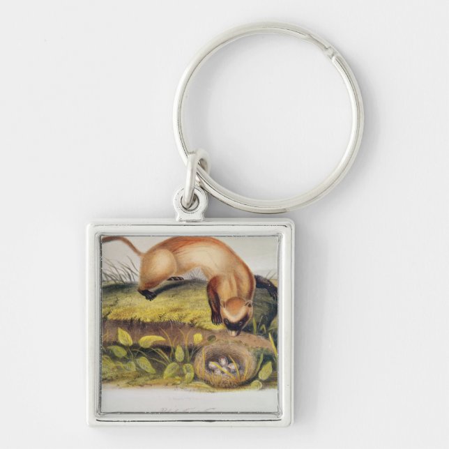 Black-footed Ferret Key Ring (Front)