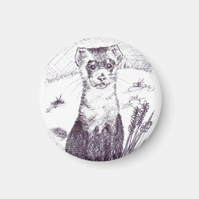 Black Footed Ferret - Magnet (Front)