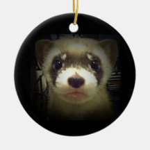 Black Footed Ferret Ornament 2011