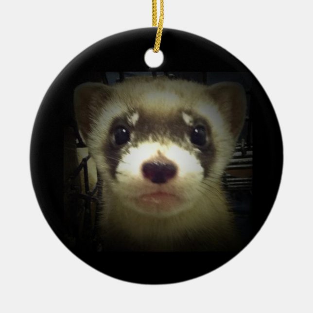 Black Footed Ferret Ornament 2011 (Front)
