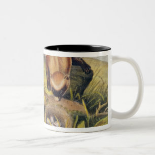 Black-footed Ferret Two-Tone Coffee Mug
