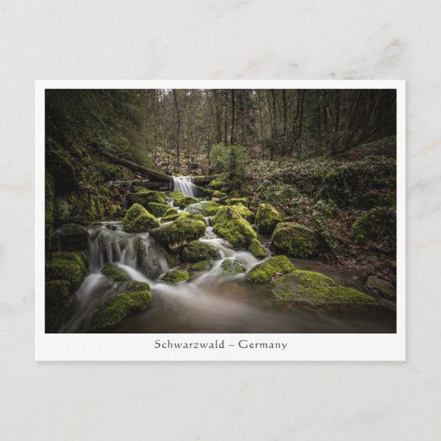 Black Forest Germany Postcard (Front)
