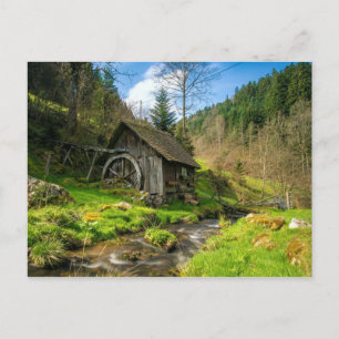 Black Forest Grist Mill Germany Postcard