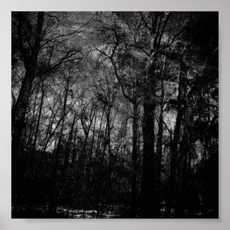 BLACK FOREST ON POSTER