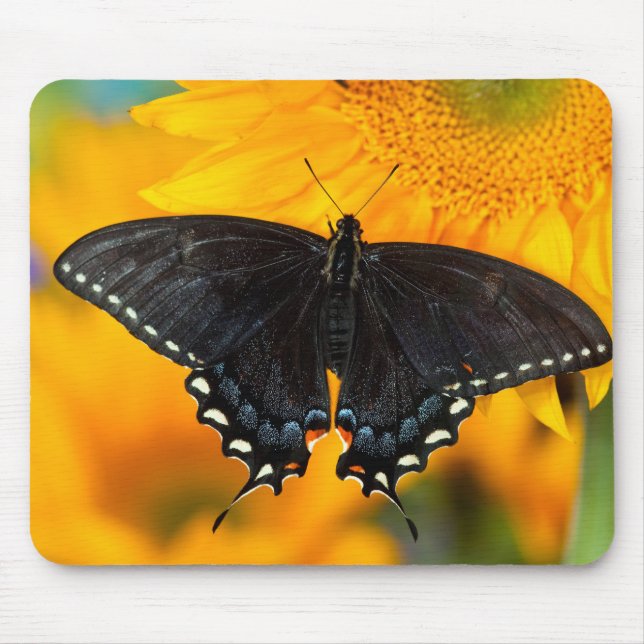 Black Form Of Eastern Tiger Mouse Pad (Front)