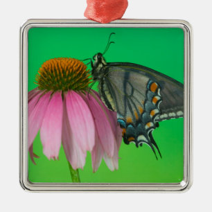Black Form Of Eastern Tiger Swallowtail Metal Ornament