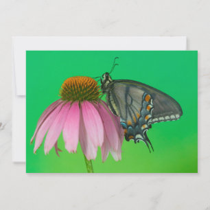 Black Form Of Eastern Tiger Swallowtail Thank You Card