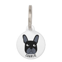 Black French Bulldog