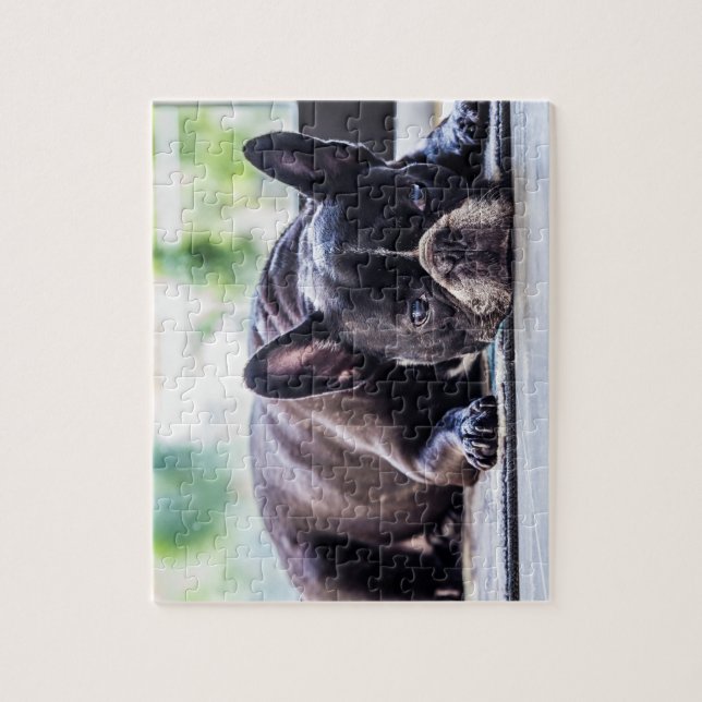 Black Frenchie Jigsaw Puzzle (Vertical)