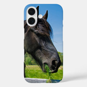 Black Friesian Horse iPhone 16 Case