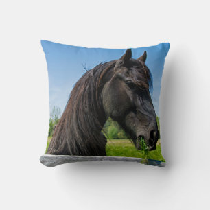 black Friesian horse Cushion