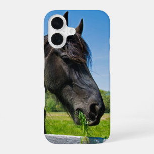 Black Friesian Horse iPhone 16 Case