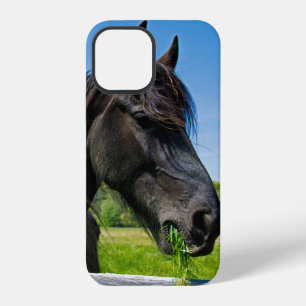 Black Friesian Horse iPhone 12 Case
