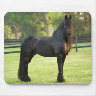 Black Friesian Horse Mouse Pad