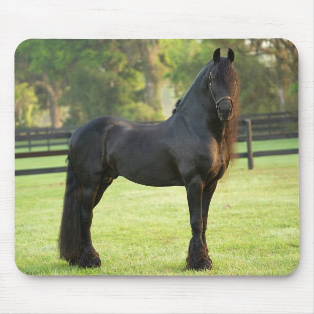 Black Friesian Horse Mouse Pad (Front)