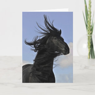 Black Friesian Horse Portrait Card