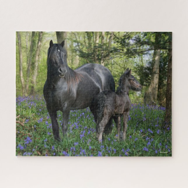 Black Friesian Mare and Foal In Bluebells Jigsaw Puzzle (Horizontal)