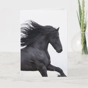 Black Friesian Runs Horse Greeting Card