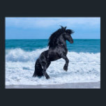 Black Friesian Stallion Rearing In the Sea Poster<br><div class="desc">Bob Langrish | Horse Black Friesian Stallion Rearing In the Sea</div>