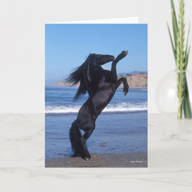 Black Friesian Stallion Rearing On Beach Card (Front)