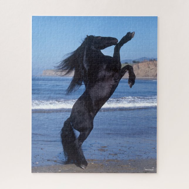 Black Friesian Stallion Rearing On Beach Jigsaw Puzzle (Vertical)