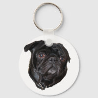 Black Funny Pug