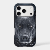 Black German Shepherd