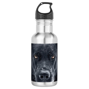 Black German Shepherd 532 Ml Water Bottle