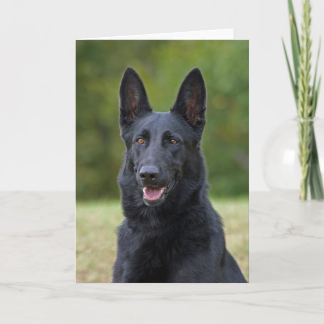 Black German Shepherd Card (Front)