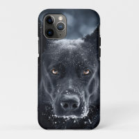 Black German Shepherd